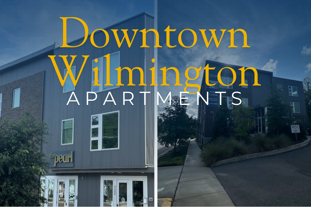 Featured Listings: The Pearl and The Mini Pearl in Downtown Wilmington